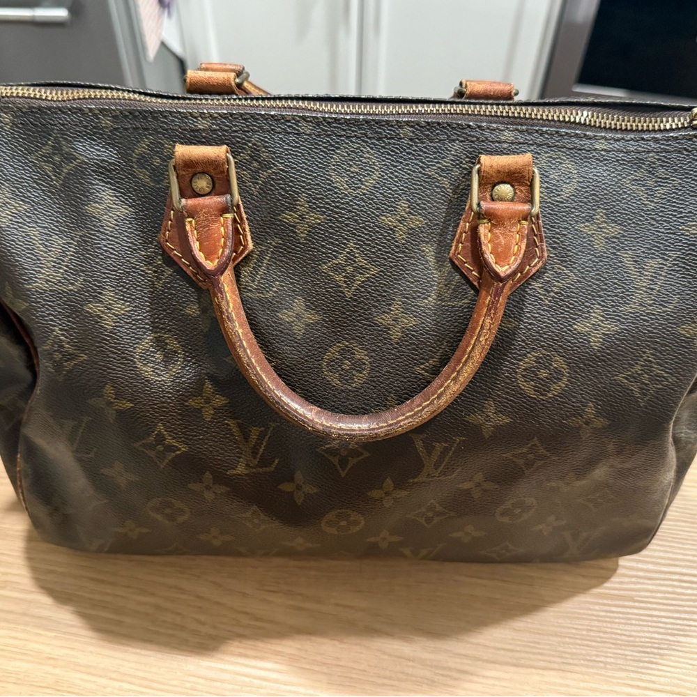 Louis Vuitton Speedy 20